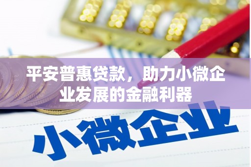 咸宁平安普惠贷款，助力小微企业发展的金融利器