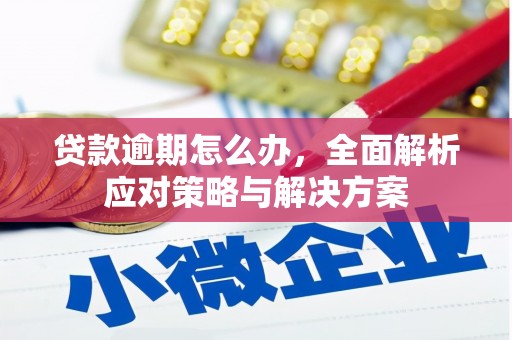 咸宁贷款逾期怎么办，全面解析应对策略与解决方案