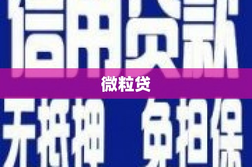 咸宁微粒贷