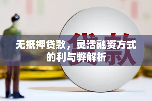 咸宁无抵押贷款，灵活融资方式的利与弊解析