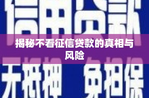 咸宁揭秘不看征信贷款的真相与风险