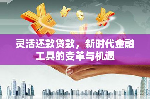 咸宁灵活还款贷款，新时代金融工具的变革与机遇