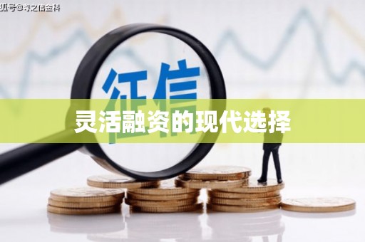 咸宁灵活融资的现代选择