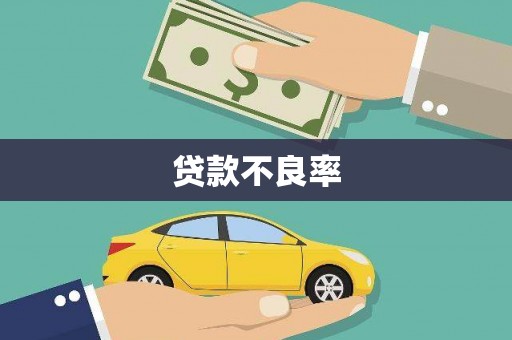 咸宁贷款不良率