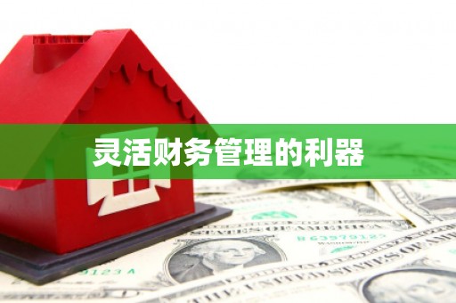 咸宁灵活财务管理的利器