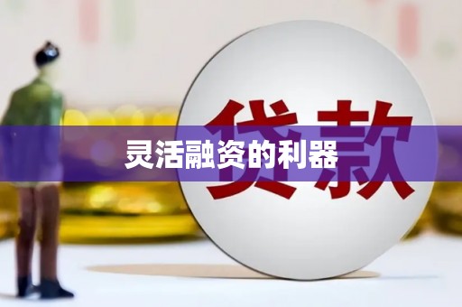 咸宁灵活融资的利器
