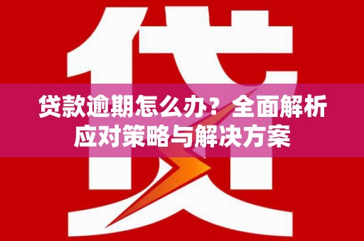 咸宁贷款逾期怎么办？全面解析应对策略与解决方案