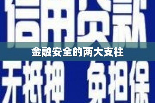 咸宁金融安全的两大支柱