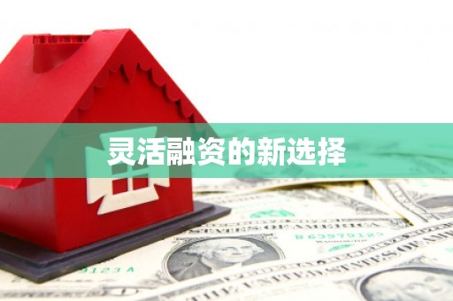 咸宁灵活融资的新选择