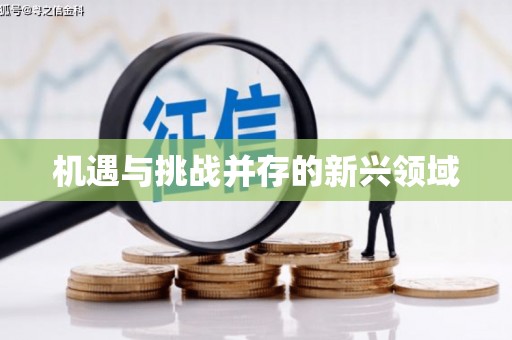 咸宁机遇与挑战并存的新兴领域