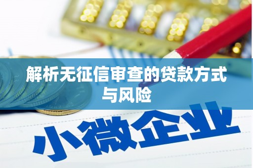 咸宁解析无征信审查的贷款方式与风险