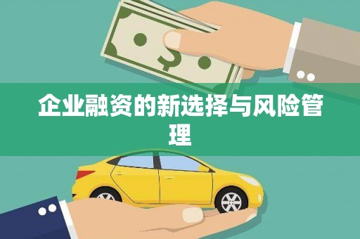咸宁企业融资的新选择与风险管理