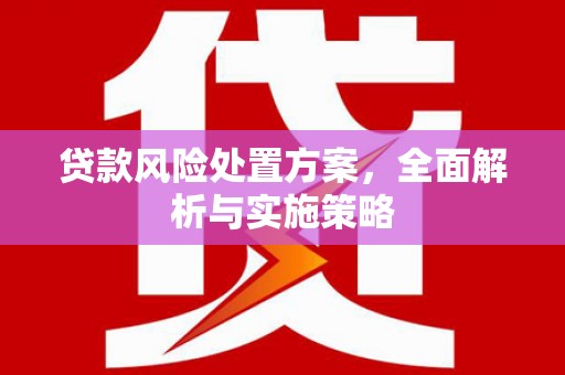 咸宁贷款风险处置方案，全面解析与实施策略