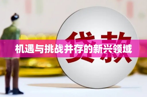 咸宁机遇与挑战并存的新兴领域