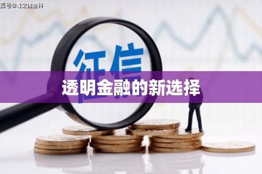 咸宁透明金融的新选择
