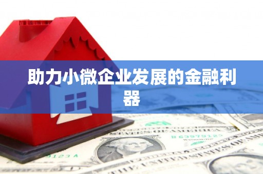 咸宁助力小微企业发展的金融利器