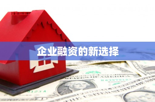 咸宁企业融资的新选择