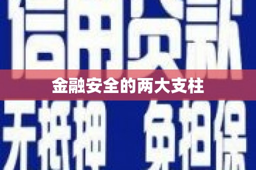 咸宁金融安全的两大支柱