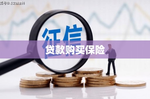 咸宁贷款购买保险