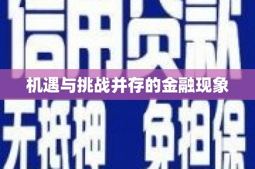 咸宁机遇与挑战并存的金融现象