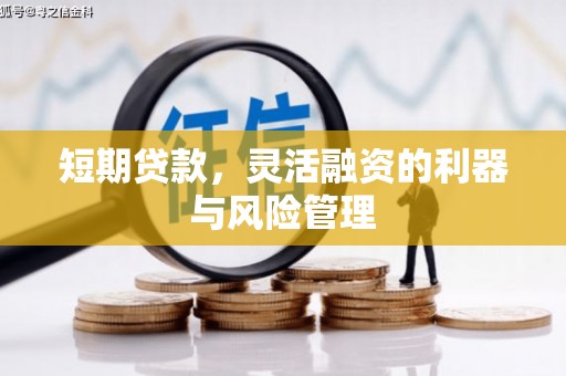 咸宁短期贷款，灵活融资的利器与风险管理