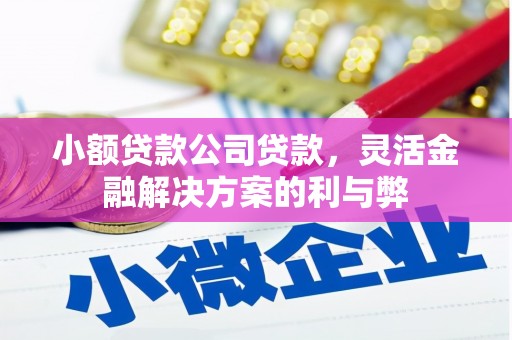 咸宁小额贷款公司贷款，灵活金融解决方案的利与弊